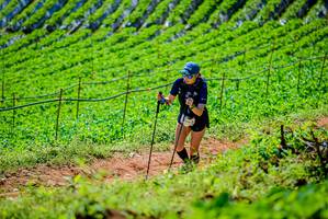 BIB: 
                            <button type="button" onclick="openModal(19163444)" class="btn btn-primary btn-sm float-right btn-popup" data-toggle="modal" data-target=".modal-high-quality">
                        <i class="fas fa-shopping-cart"></i> Add to Cart
                    </button>
                                            <button type="button" onclick="isThisMe(19163444, true)" class="btn btn-success btn-sm float-right btn-popup btn-isme hidden" data-toggle="tooltip" data-placement="bottom" title="นี่คือรูปของคุณใช่ไหม คลิกที่นี่เพื่อเอาเข้าอัลบั้ม">
                        <i class="fas fa-plus"></i> Add to album
                    </button>
                    <button type="button" onclick="isThisMe(19163444, false)" class="btn btn-warning btn-sm float-right btn-popup btn-isnotme hidden">
                        <i class="fas fa-ban"></i> Remove from album
                    </button>